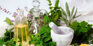 Get to know these medicinal plants better medicinal plants