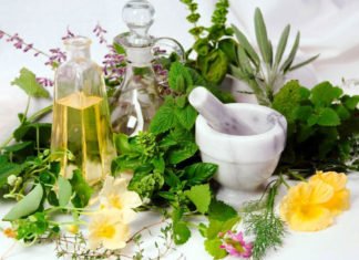 Get to know these medicinal plants better medicinal plants