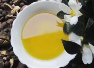 Camellia Oil Uses And Benefits Camellia Oil Uses And Benefits