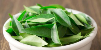 Efficient Hair Care Tips Using Neem or Margosa Hair Care Tips