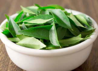 Efficient Hair Care Tips Using Neem or Margosa Hair Care Tips