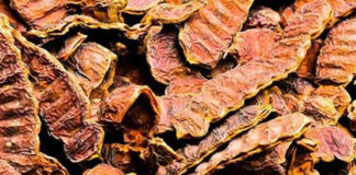 Hair Care Tips Using Shikakai Or Acacia Concinna Hair Care Tips
