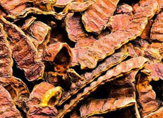 Hair Care Tips Using Shikakai Or Acacia Concinna Hair Care Tips