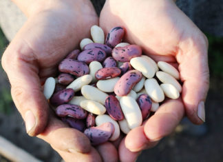 13 Amazing High Fiber Foods For Healthy You High Fiber Foods