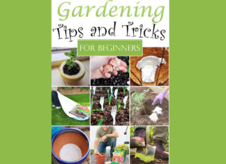 Handy and efficient gardening tips for beginners gardening tips for beginners