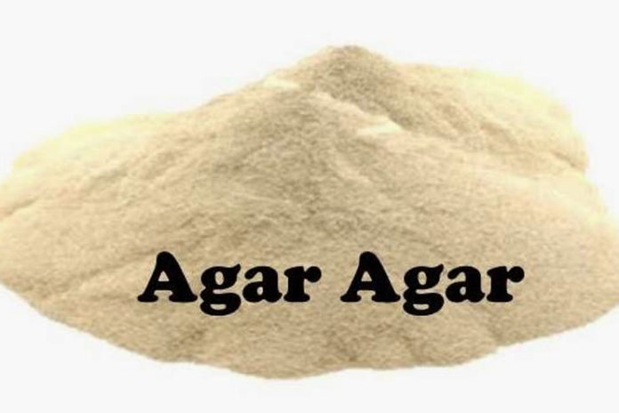 uses of agar agar