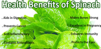 Top 10 Health Benefits Of Spinach health benefits of spinach