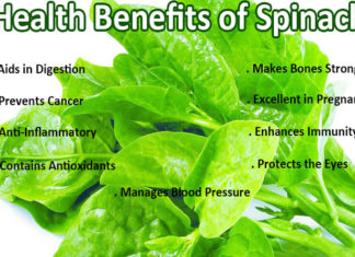 Top 10 Health Benefits Of Spinach health benefits of spinach
