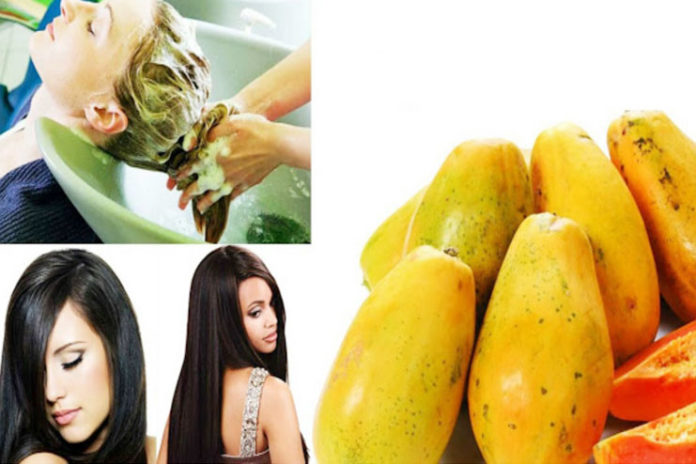 benefits of papaya for hair