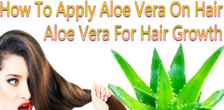 Find Everything about Using Aloe Vera for Hair Loss aloe vera for hair loss