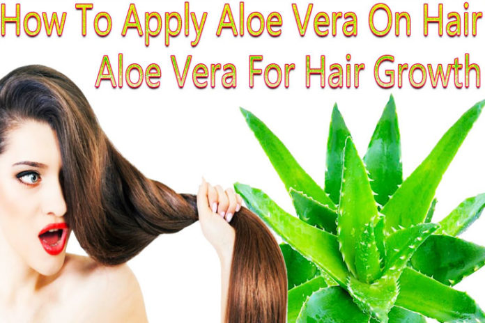 aloe vera for hair loss