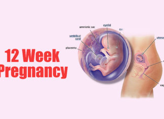 What to Expect at 12 Weeks Pregnant 12 weeks pregnant