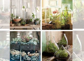Some Wonderful Indoor Herb Garden Ideas indoor herb garden