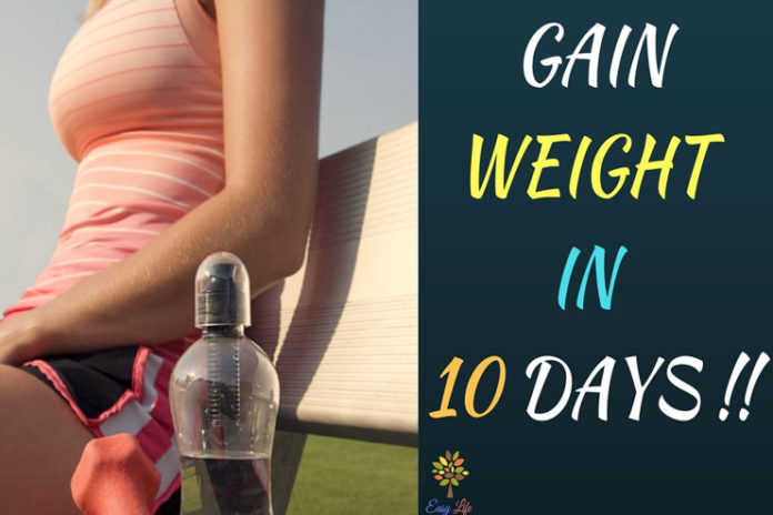 tips to gain weight