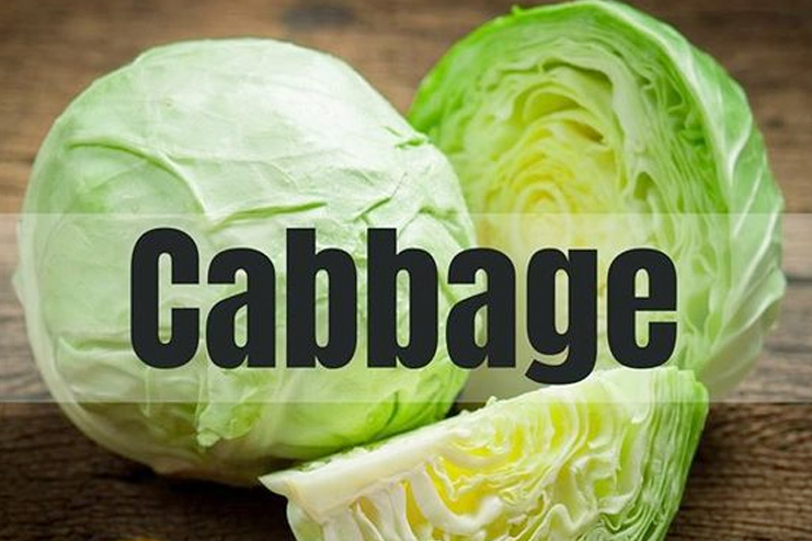 Cabbage