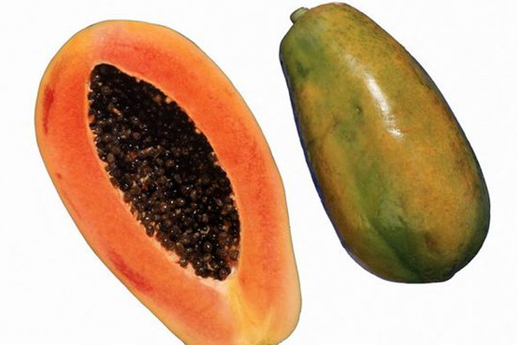 Papaya