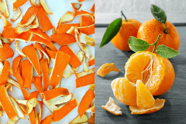 Orange and Yogurt