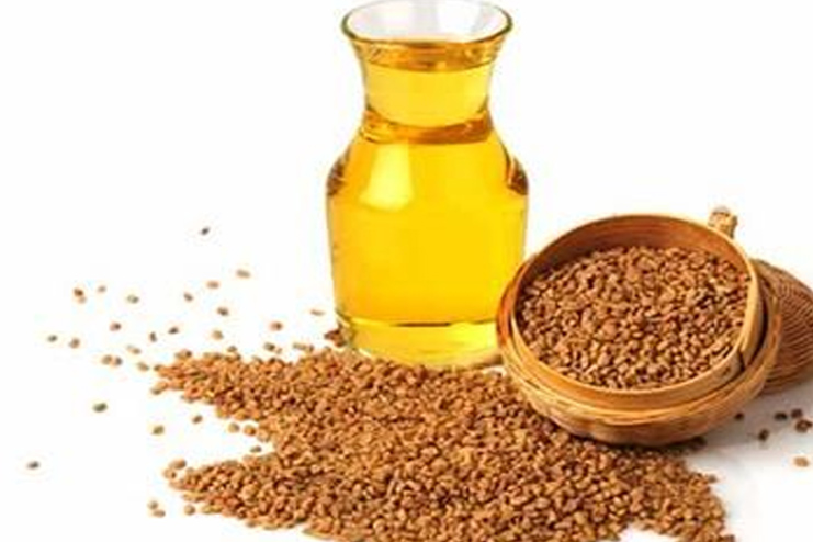 Fenugreek Oil