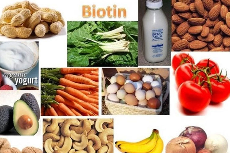 Foods rich in biotin