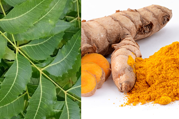 Neem and turmeric homemade toner