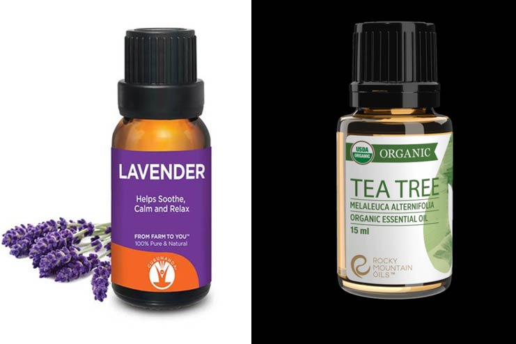 Lavender-Oil-Tea-Tree-Oil