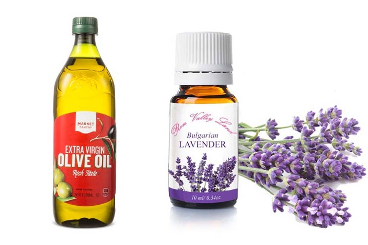 Olive Oil + Lavender Oil