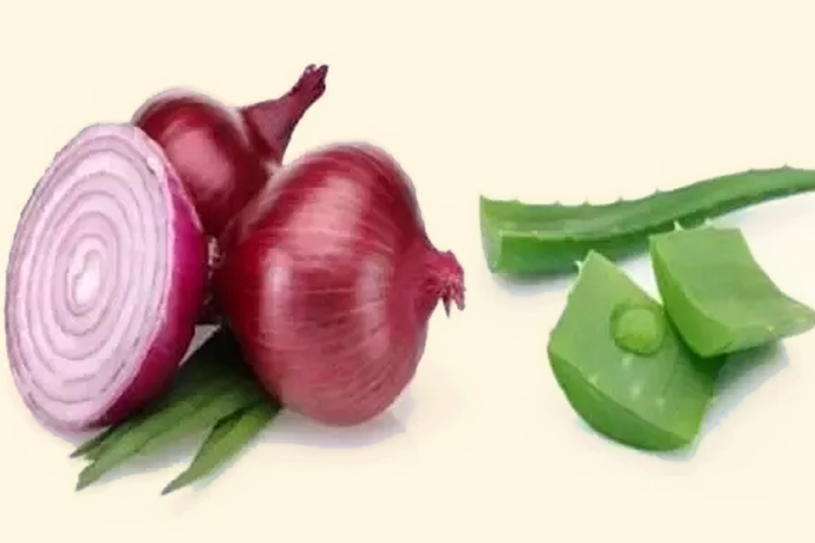 Onion-Juice-Aloe-Vera