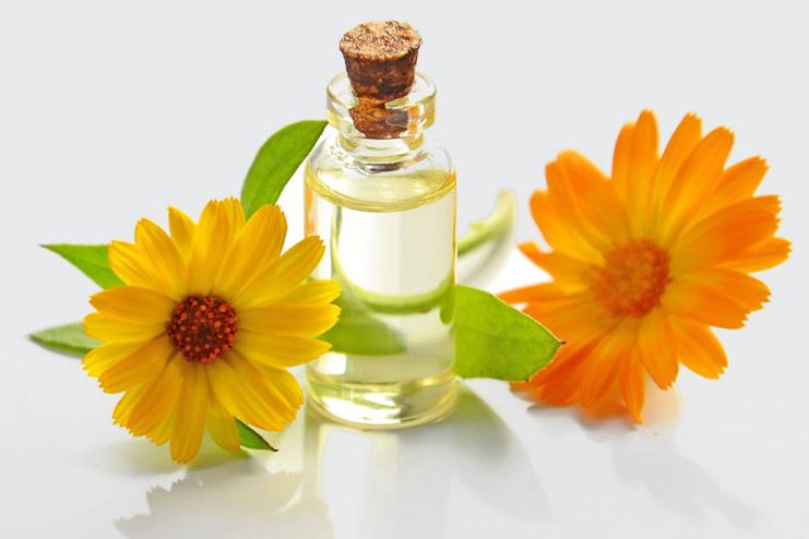 Chamomile Oil