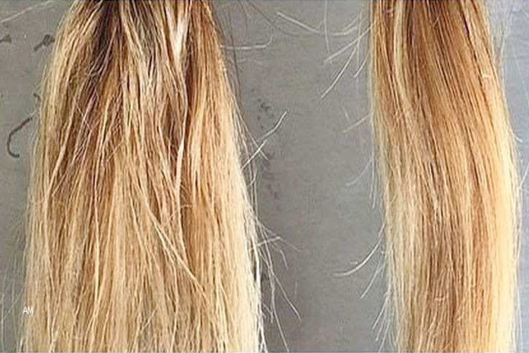 How to Repair Bleach Damaged Hair - wide 4