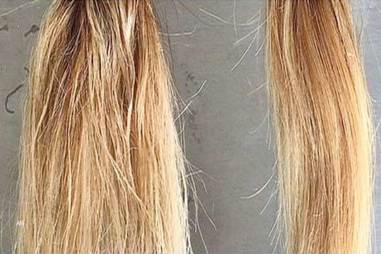 Repair-Bleach-Damaged-Hair