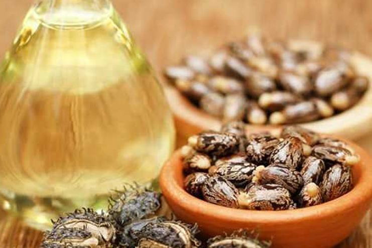 Things-To-Be-Sure-Before-Applying-Castor-Oil