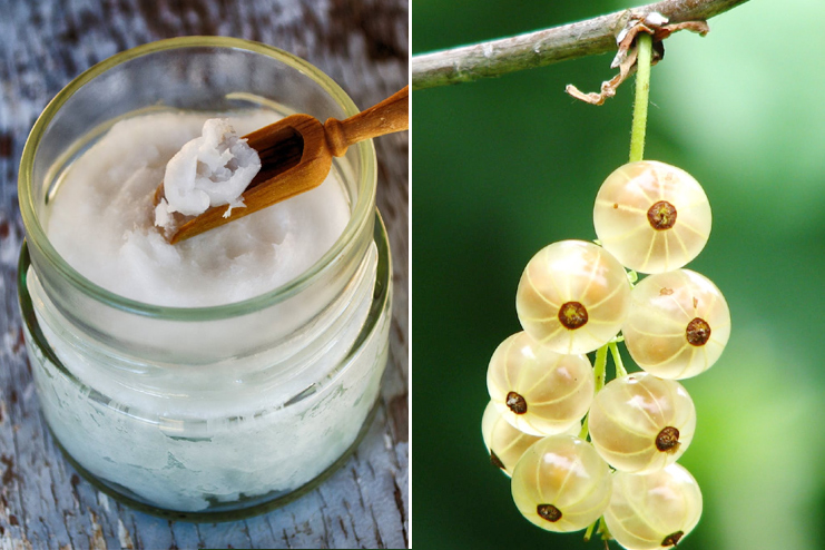 Coconut-Oil-And-Gooseberrie