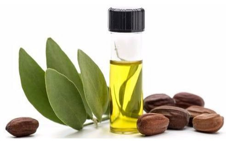 Jojoba-Oil