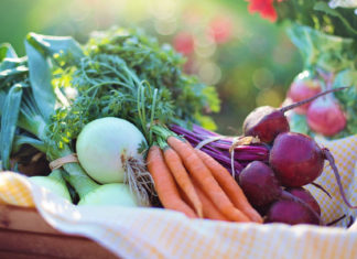 Vitamin E As A Skin Care Routine – No More Bad Skin! Vitamin-E