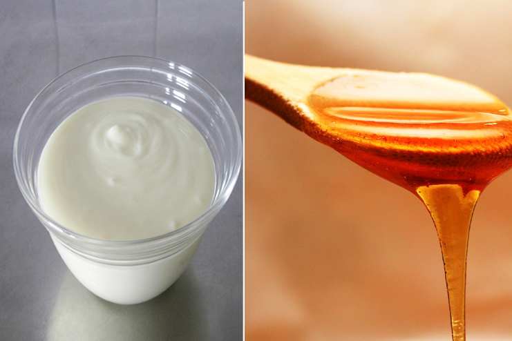 Yogurt and Honey