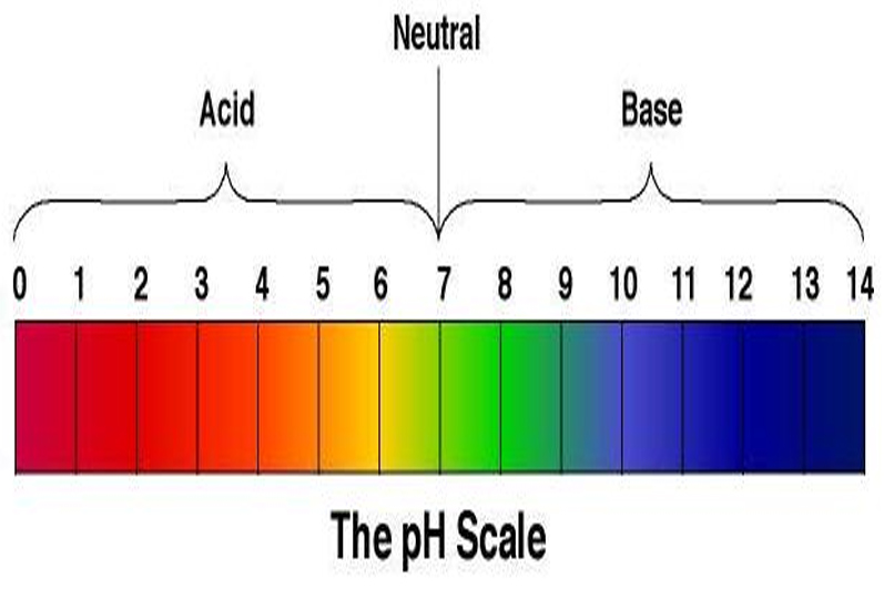 ph-Balance