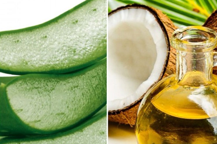 Aloe Vera And Coconut Oil