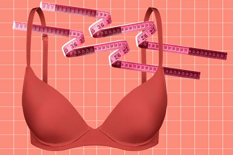 Which Type of Bra Should Wear for Heavy Breast