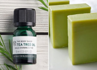 10 Best Tea Tree Oil Soaps For Better Skin – The Organic Investment! 10 Amazing Tea Tree Oil Soaps For Better Skin