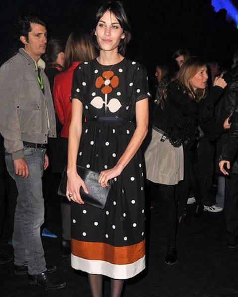 The Party Look Alexa Chung Print Dress