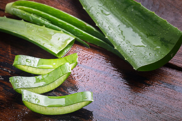 Aloe Vera And Coconut Water for Hair Growth