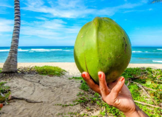 Magic Of Coconut Water For Hair Growth – Nourish Your Hair! Magic-Of-Coconut-Water-For