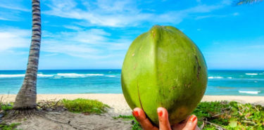 Magic Of Coconut Water For Hair Growth – Nourish Your Hair! Magic-Of-Coconut-Water-For