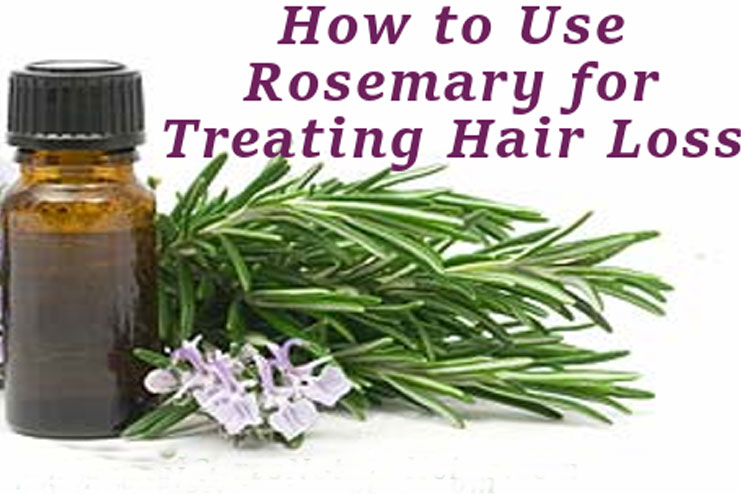 Rosemary Essential Oil And Coconut Water For Hair Growth