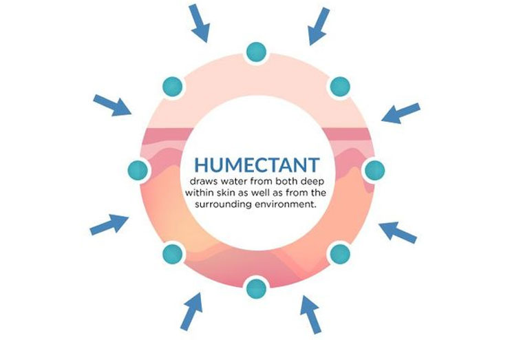 Types of Humectants