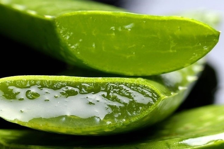 Almond Oil Aloe Vera