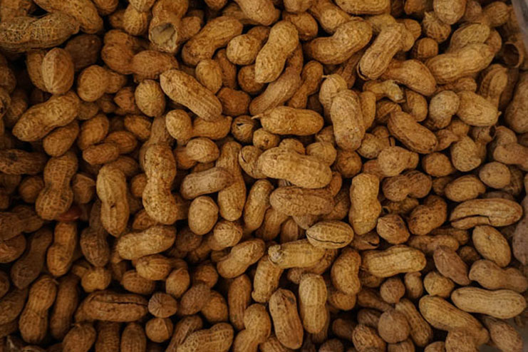 Peanuts