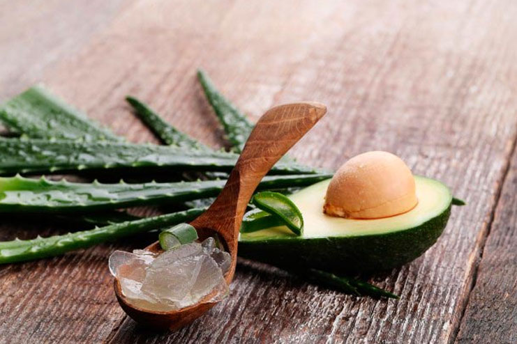 Aloe Vera and Avocado for Stretch Marks