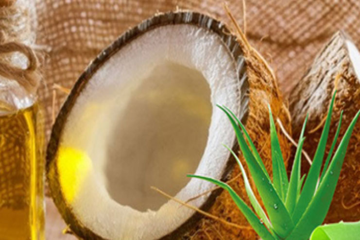 Coconut Oil and Aloe Vera for Stretch Marks