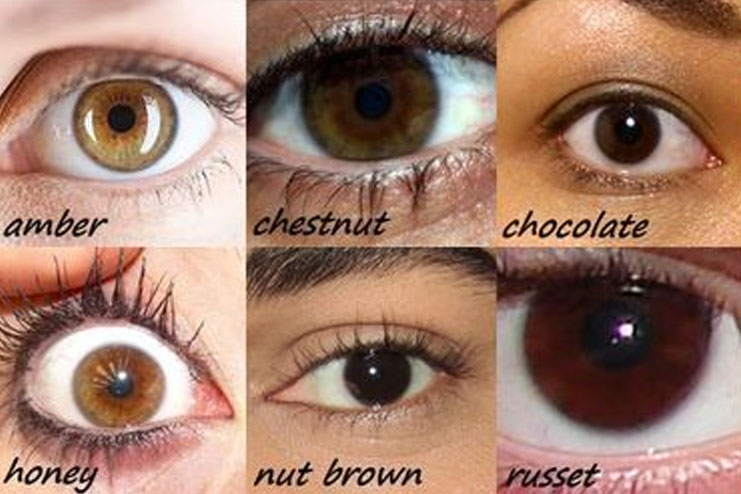 Know How Brown are Your Eyes